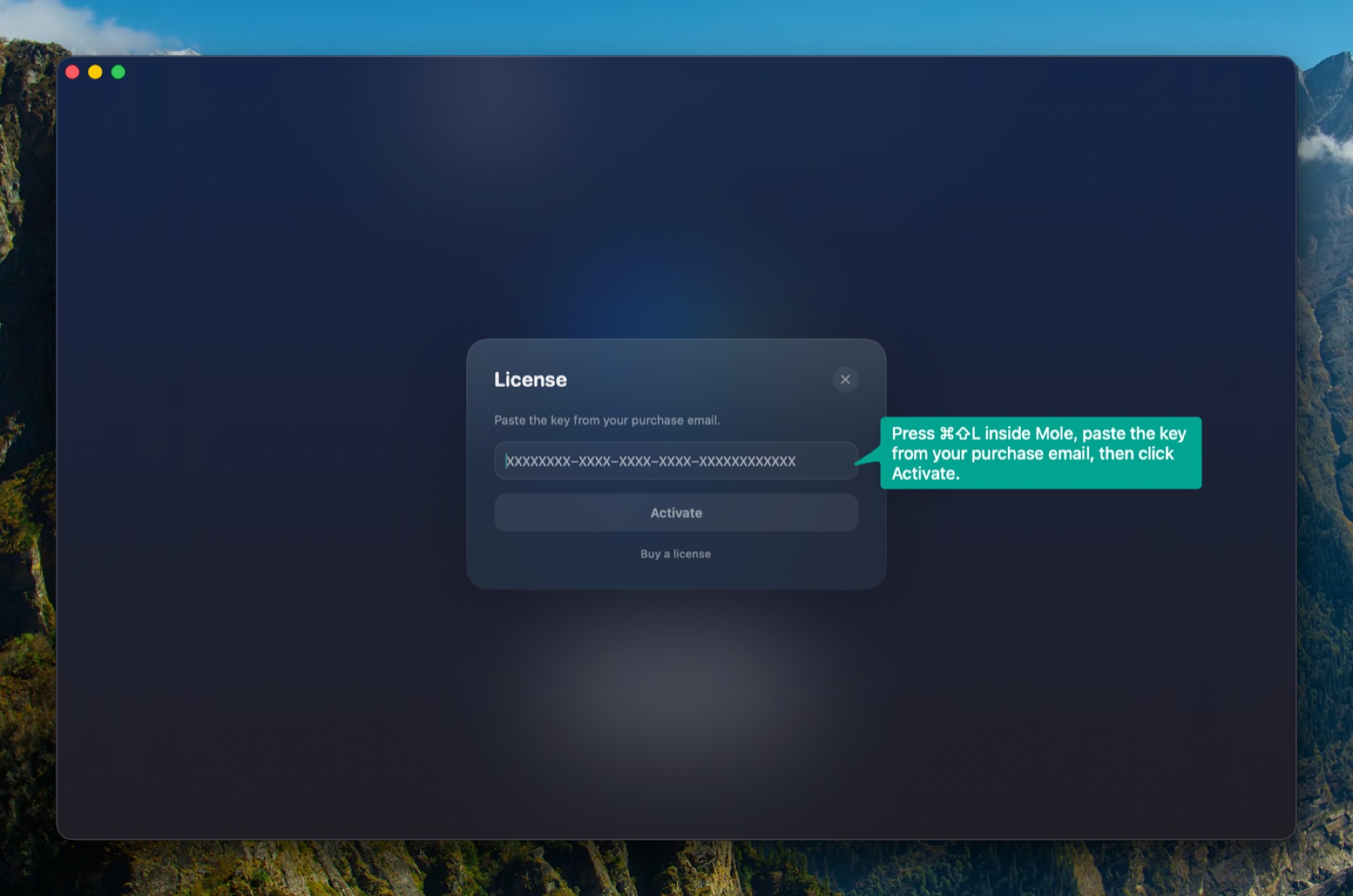 License activation panel inside Nivo